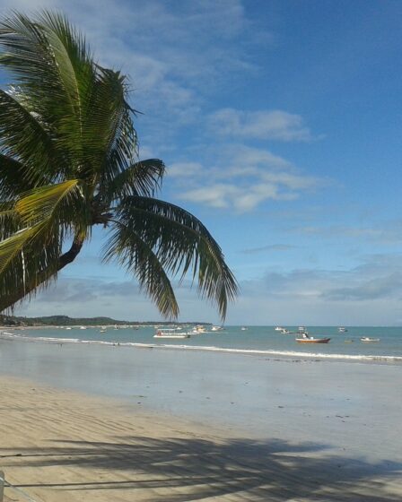 Pacotes de Viagens para Maragogi