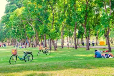Parque Botanico Vale Um Santuario Ecologico em Vitoria
