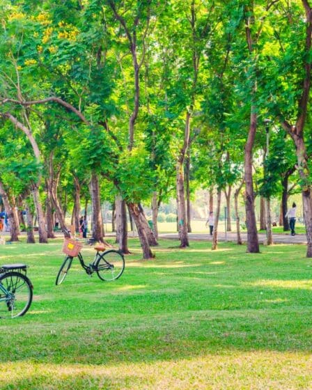 Parque Botanico Vale Um Santuario Ecologico em Vitoria Parque Botanico Vale Um Santuario Ecologico em Vitoria