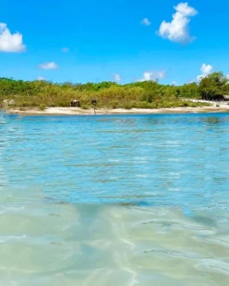 lagoa do videl onde fica